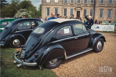 Oval Beetle at Stanford Hall 07 - IMG_3432.jpg