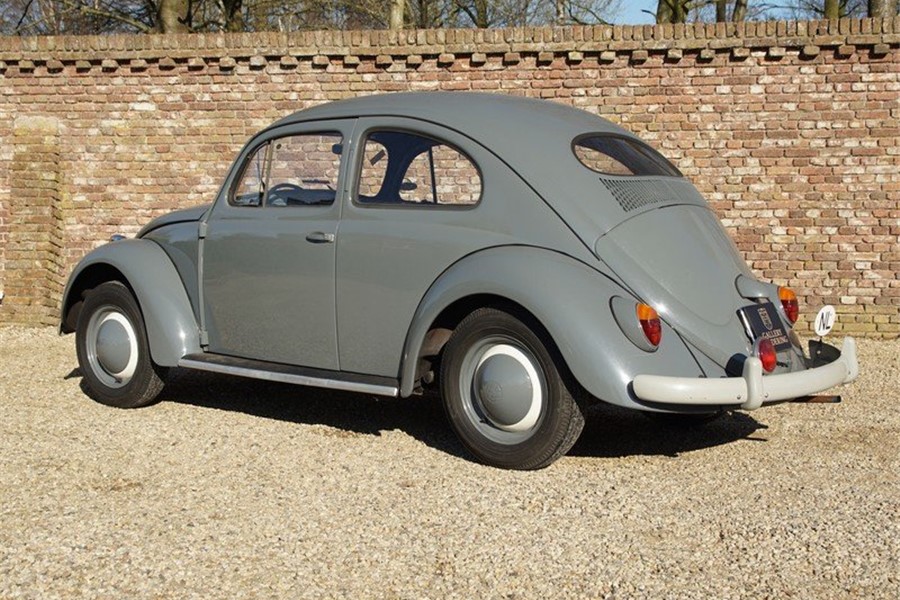 1955 - VW Beetle Standard Model Oval