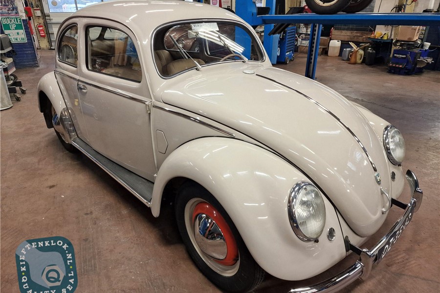 1951 - Split Bug, Split Beetle, VW Beetle 