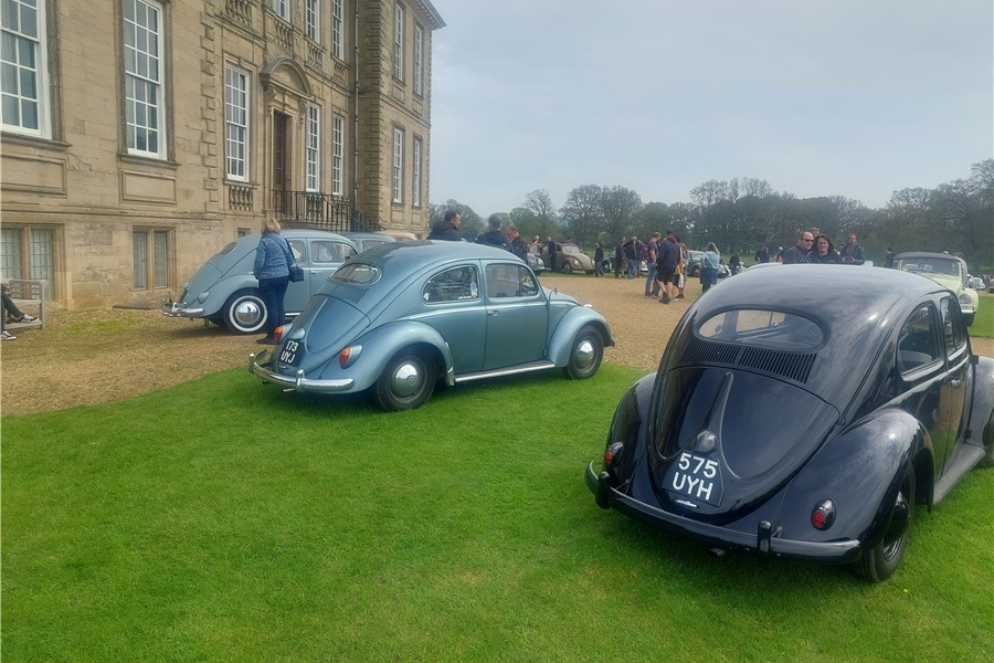 1954 -  Standard Beetle  - photo 1