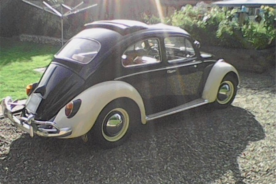 Vintage Volkswagen Beetle, Classic VW Bug and Bus photos