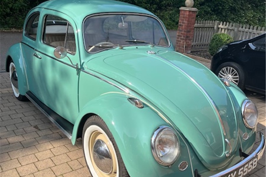 1964 -  VW BEETLE