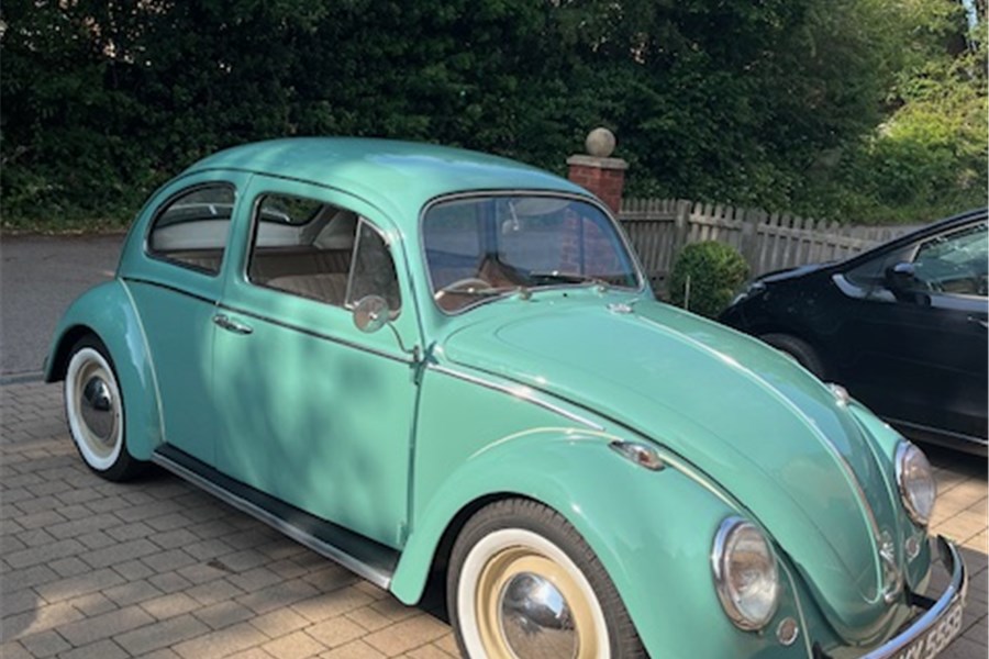 1964 - 1964 VW BEETLE