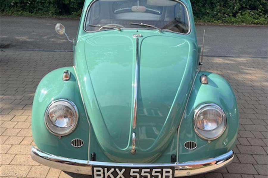 1964 - 1964 VW BEETLE