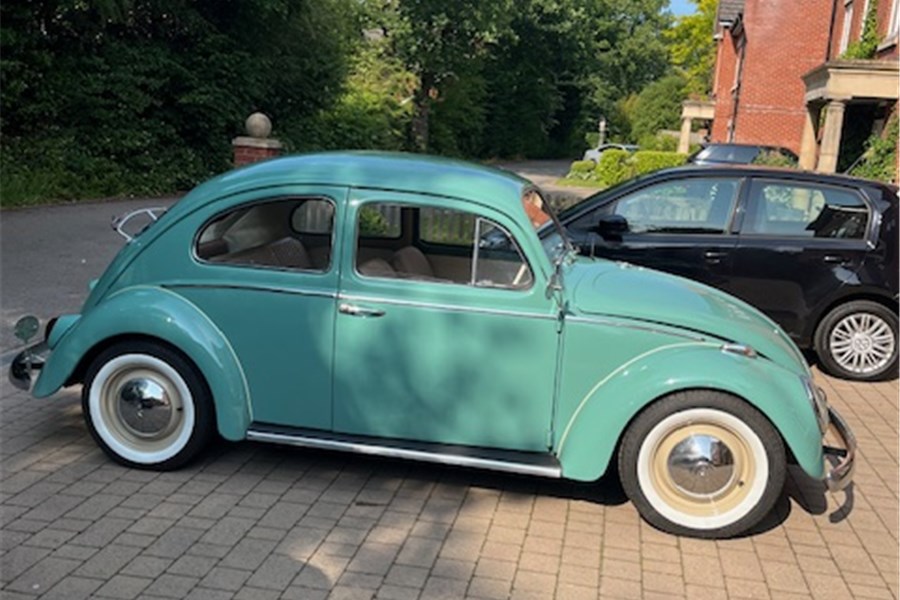 1964 - 1964 VW BEETLE