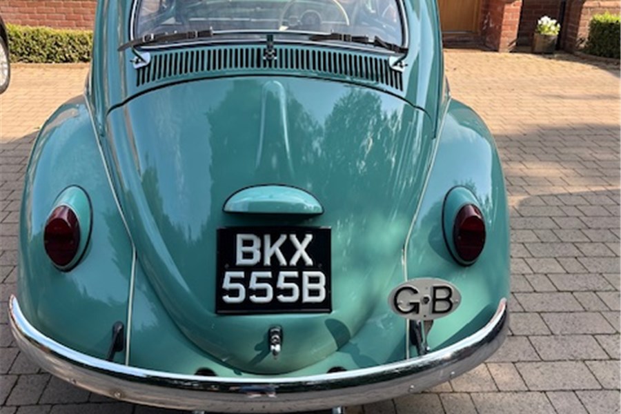 1964 -  VW BEETLE