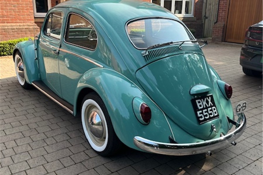 1964 -  VW BEETLE