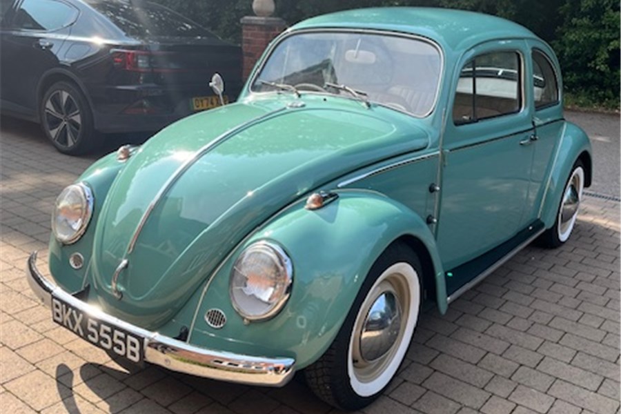 1964 - 1964 VW BEETLE