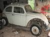 62beetle