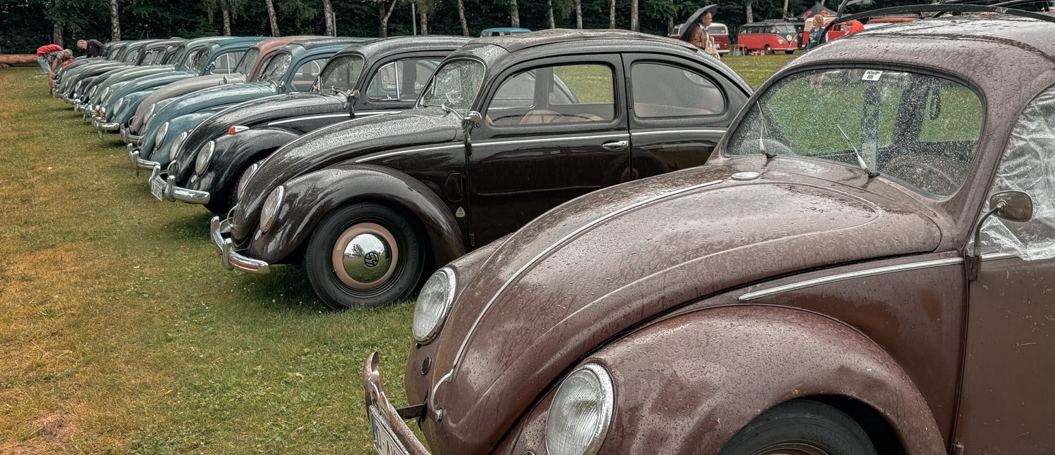 Vintage Volkswagen Beetle, Classic VW Bug and Bus photos