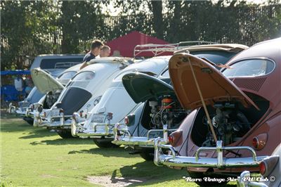 DSC08078.JPG
