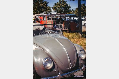 Samba and Split Cabrio at BBT Convoy to Bad Camberg 2019 - _MG_9490.jpg