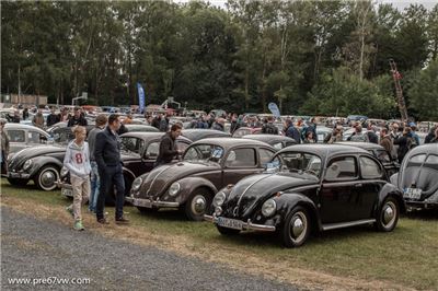 Split Beetles at Bad Camberg 2015 - IMG_3976.jpg