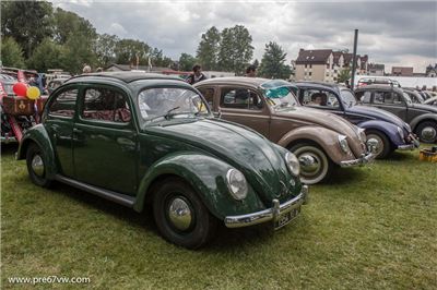 Oval Beetles at Bad Camberg 2015 - IMG_4149.jpg