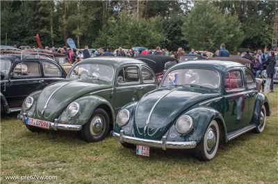 Oval Beetles at Bad Camberg 2015 - IMG_4193.jpg