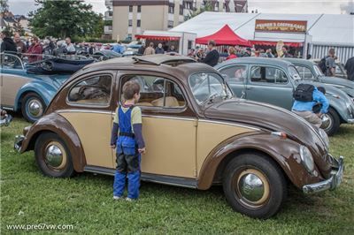 Oval Beetle at Bad Camberg 2015 - IMG_4194.jpg