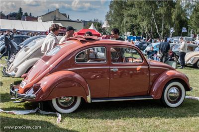 Oval Beetle at Bad Camberg 2015 - IMG_4262.jpg