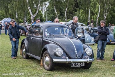 Oval Beetle at Bad Camberg 2015 - IMG_4404.jpg