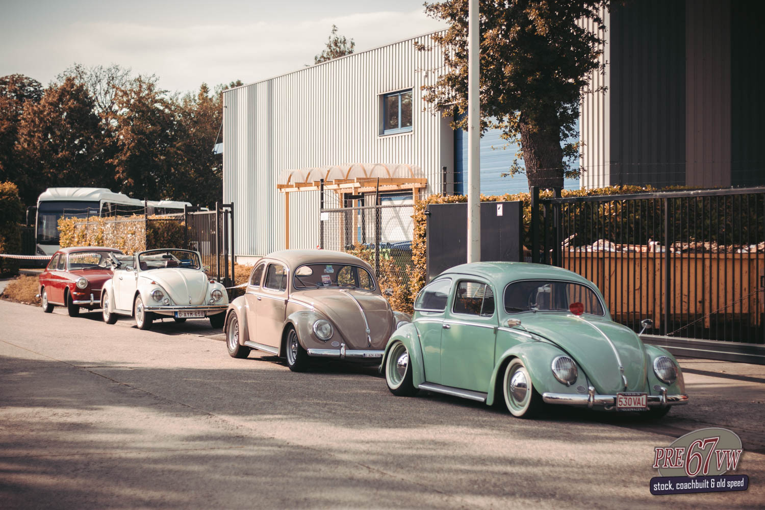 VW Beetles at Bad Camberg 2019