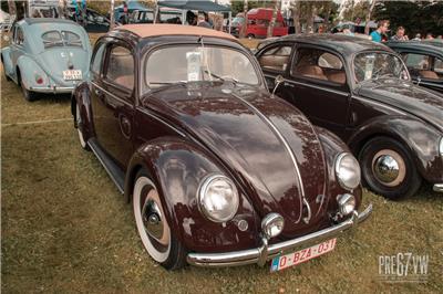 IMG_0333.jpg