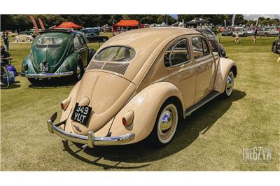 IMG_2684_jpg.jpg