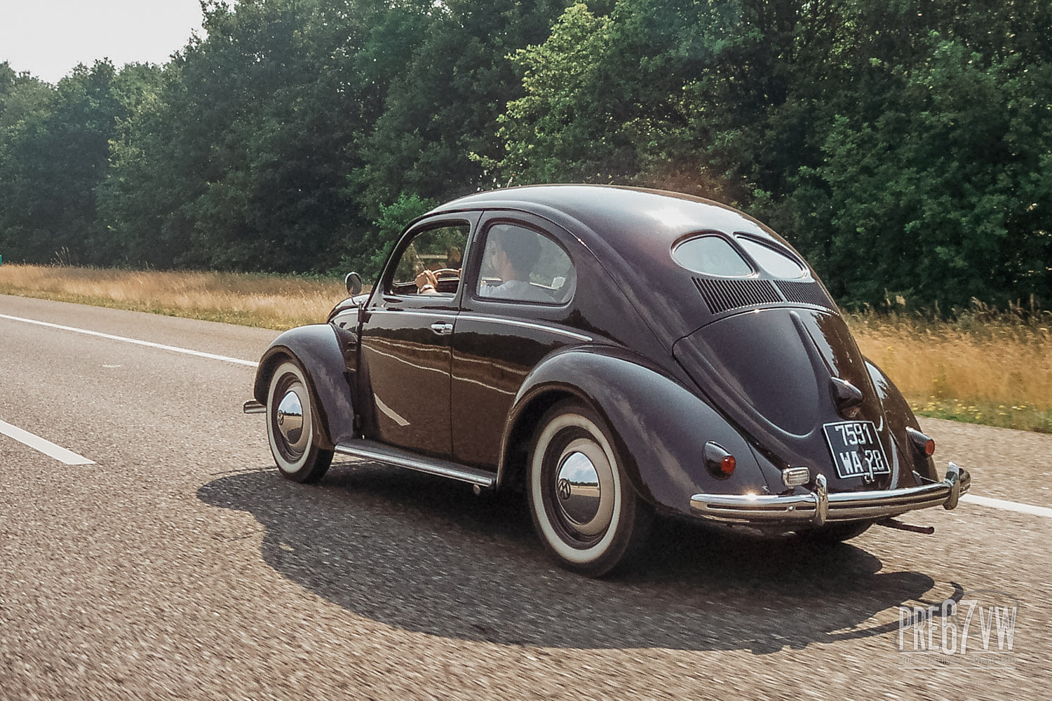 Split Beetle at Hessisch-Oldendorf 2005