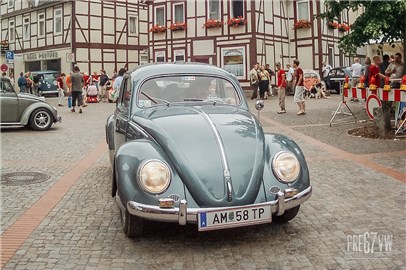 Oval Beetle at Hessisch-Oldendorf 2005 - 000_0015.jpg