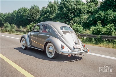 Oval Beetle at Hessisch-Oldendorf 2005 - 100_2733.jpg