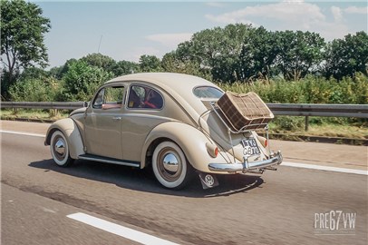 Oval Beetle at Hessisch-Oldendorf 2005 - 100_2734.jpg