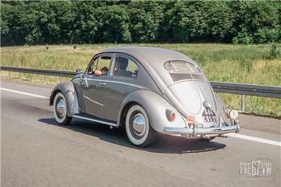 Oval Beetle at Hessisch-Oldendorf 2005 - 100_2737.jpg