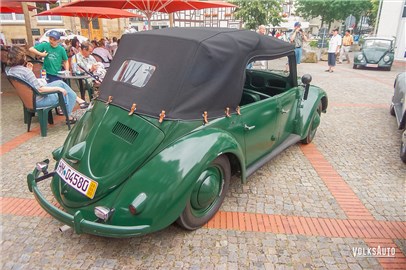 Papler Police Beetle at Hessisch-Oldendorf 2005 - 100_2792.jpg