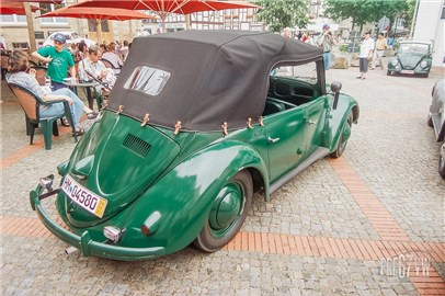 Papler Police Beetle at Hessisch-Oldendorf 2005 - 100_2792.jpg