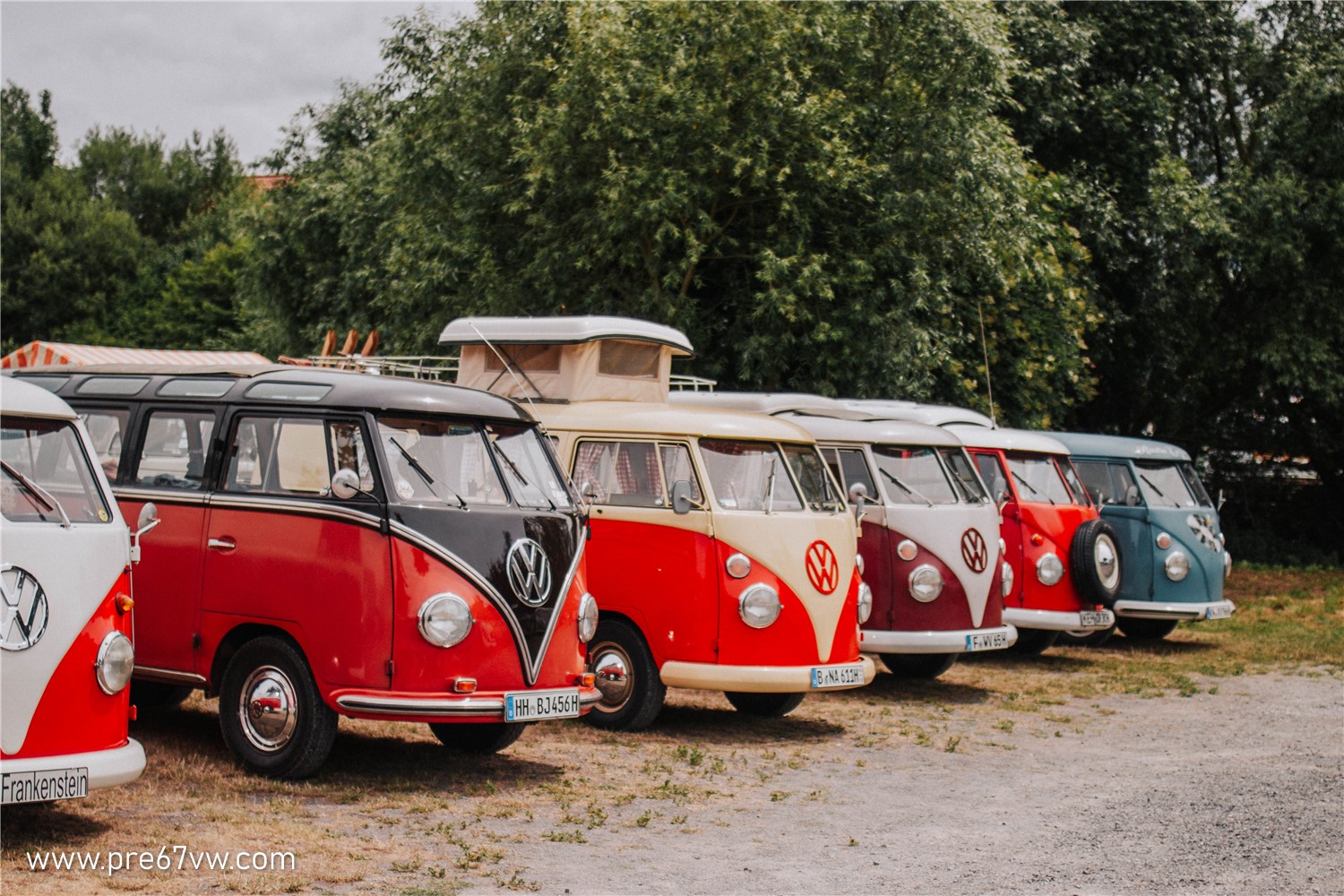 Split window buses at Hessisch Oldendorf 2022