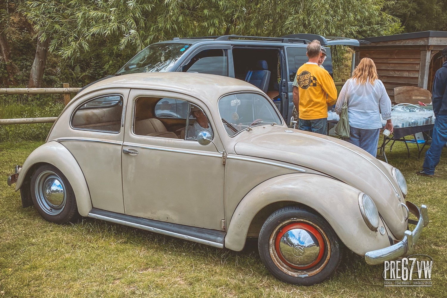 Oval Beetle at Kafernation 2023