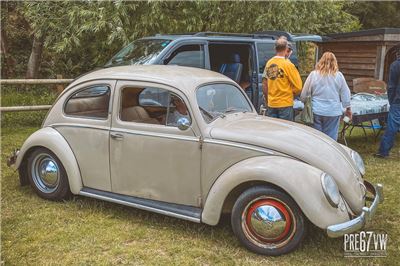 Oval Beetle at Kafernation 2023 - IMG_0101_jpg-Edit.jpg