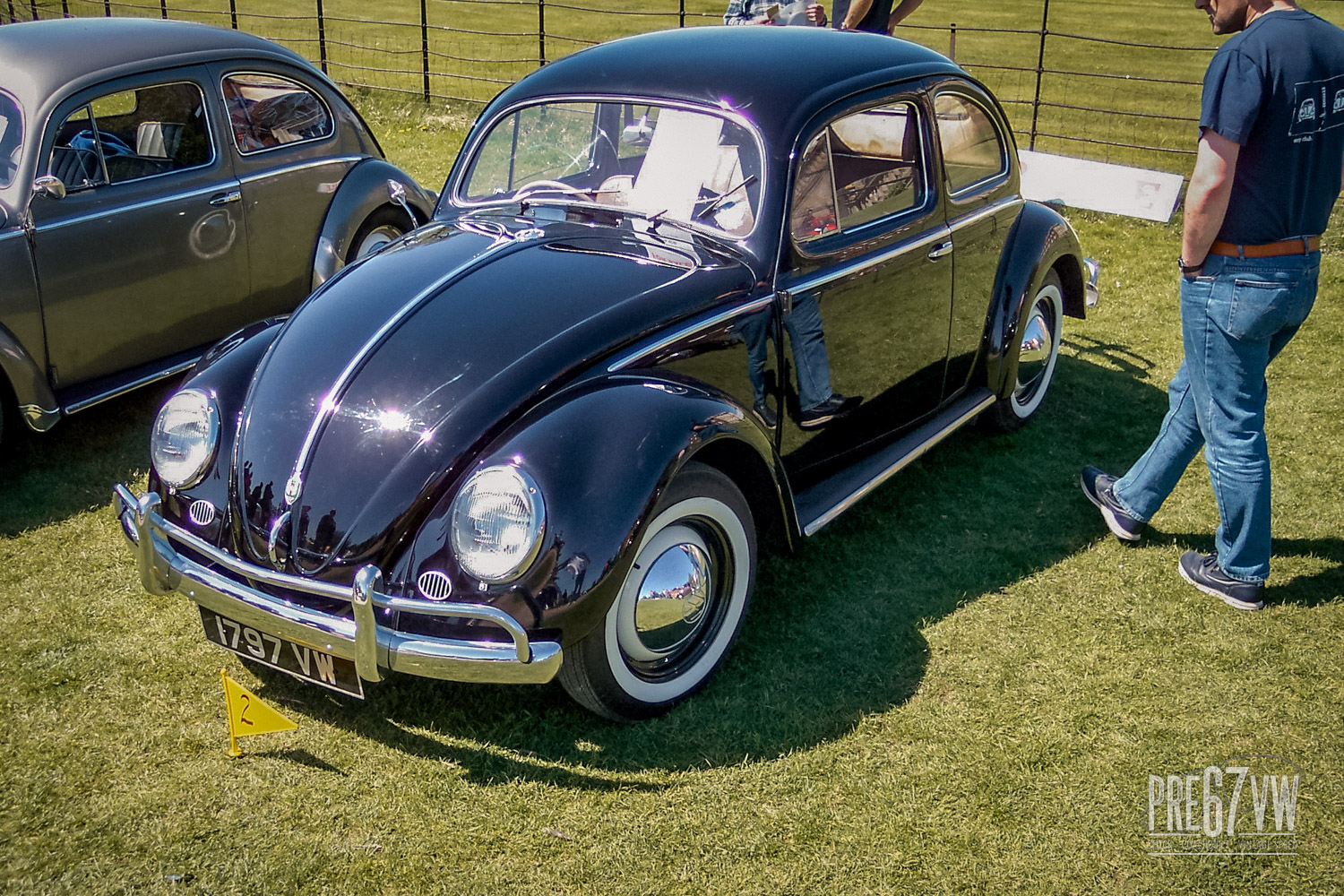 Oval Beetle at Stanford Hall 03