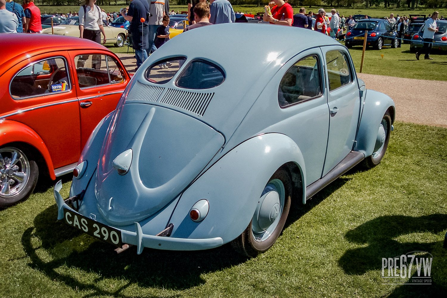Early Split Beetle at Stanford Hall 03