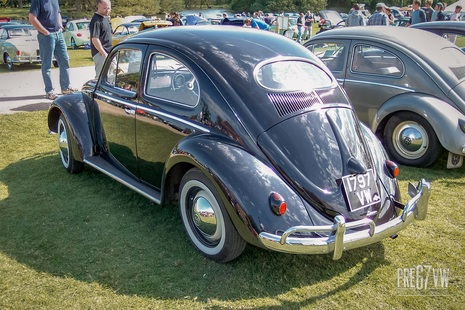 Oval Beetle at Stanford Hall 03