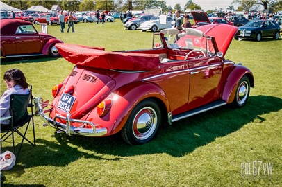 Beetle Cabrio at Stanford Hall 03 - 100_0185.jpg