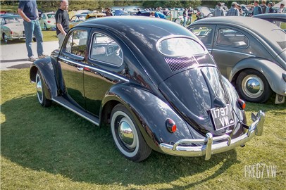 Oval Beetle at Stanford Hall 03 - 100_0205.jpg