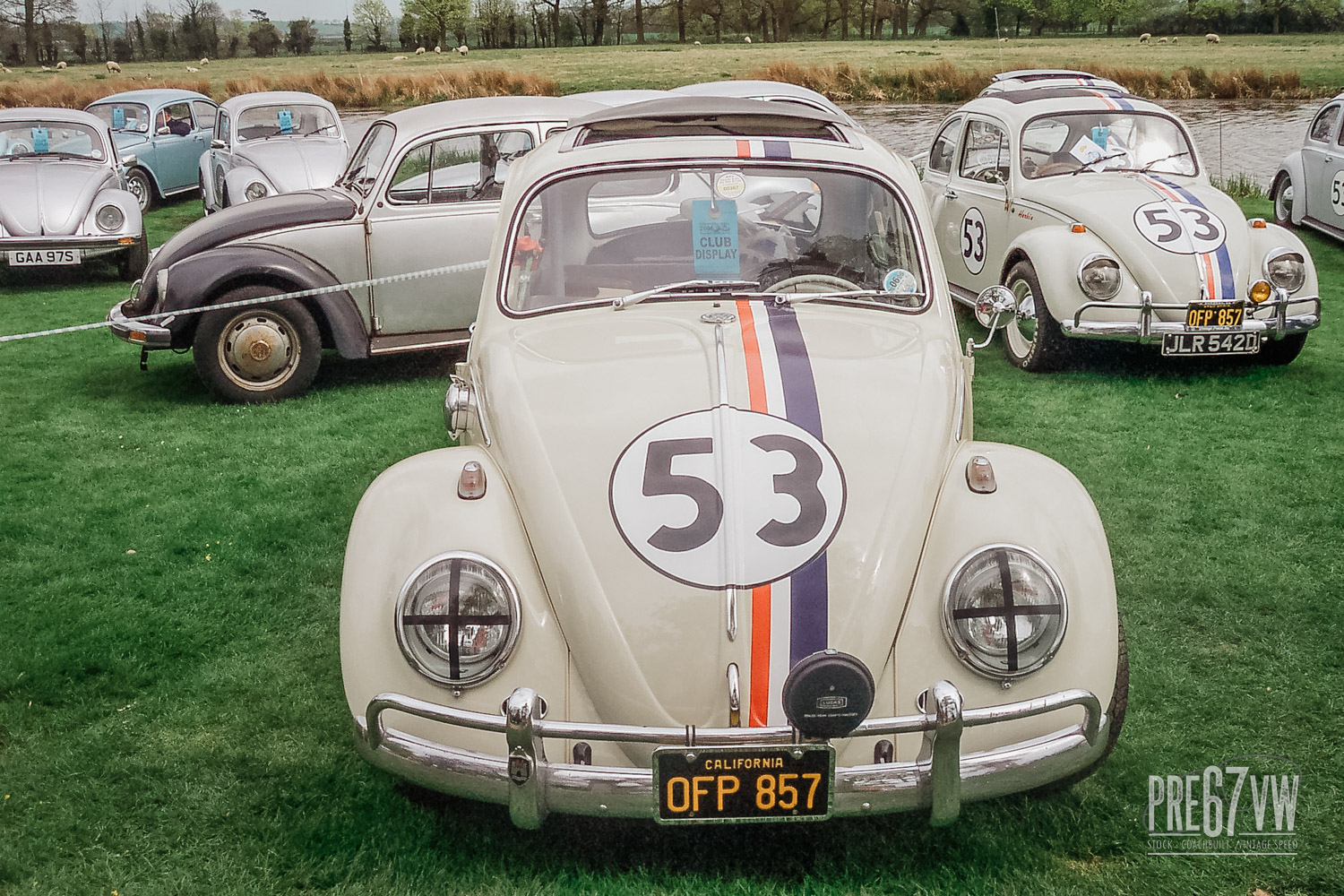 Herbie at Stanford Hall 06