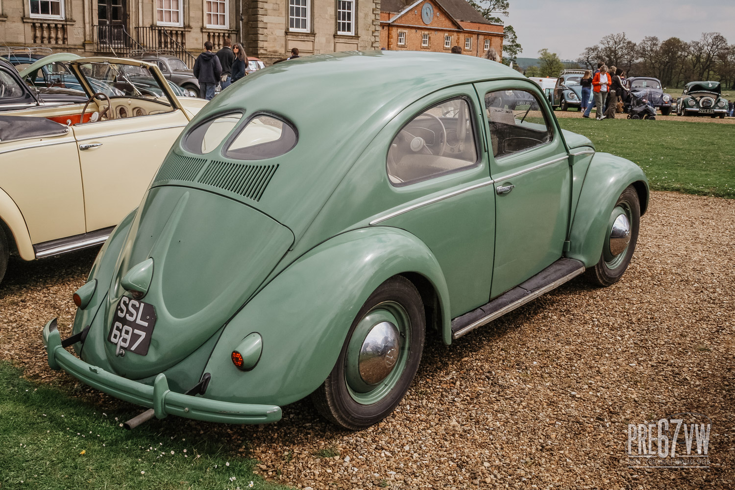 Split Beetle at Stanford Hall 06