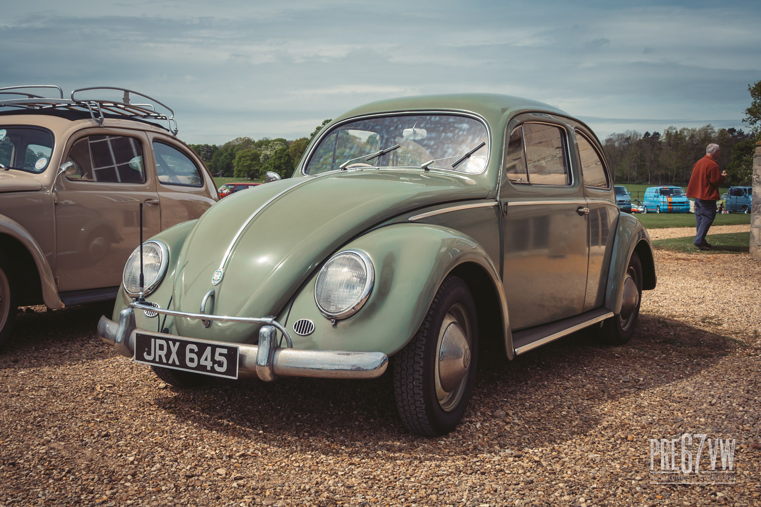 Oval Beetle at Stanford Hall 07
