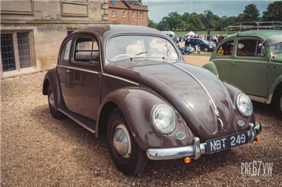 Oval Beetle at Stanford Hall 07 - IMG_3447.jpg