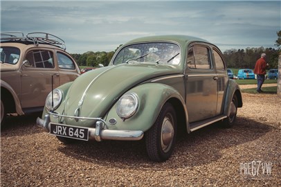 Oval Beetle at Stanford Hall 07 - IMG_3448.jpg