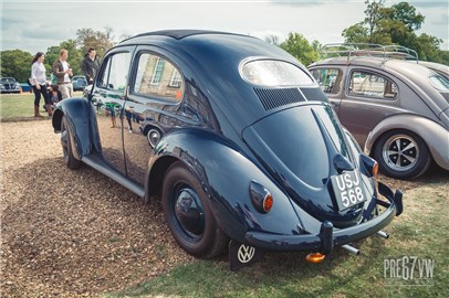 Oval Standard Beetle at Stanford Hall 07 - IMG_3451.jpg