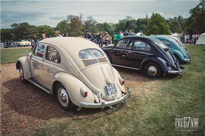 Oval Beetles at Stanford Hall 07 - IMG_3452.jpg