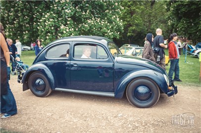 Standard Oval Beetle at Stanford Hall 07 - IMG_3490.jpg