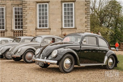 Oval Beetle at Stanford Hall 08 - IMG_5075.jpg