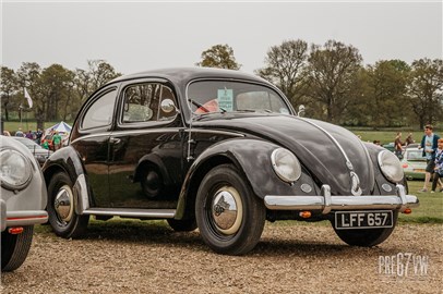 Oval Beetle at Stanford Hall 08 - IMG_5078.jpg